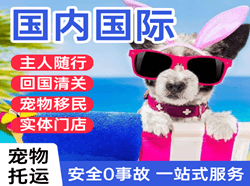 敦煌航空货运国际宠物托运 【国